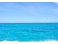珊瑚の海に浮かぶ 夏の八重山離島巡り