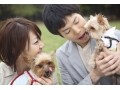 結婚生活をよりハッピーにさせる7つの約束
