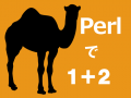 Perl の数値計算と出力方法