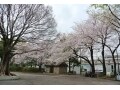 【取材レポート】パークホームズ目白ザ　フォレスト