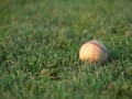 夏の高校野球で話題をさらった“カット打法”