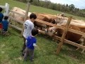 親子で気軽に食育体験！ ママKidsネットワーク