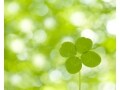「苦労は美徳」ではお金持ちになれない時代？