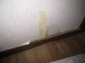 建てた後、ここに注意しなさい！
