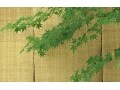 7月権利確定のオススメ優待銘柄「タカショー」