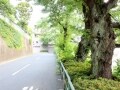 「ブランズ目黒花房山」物件レビュー