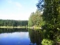 ヘルシンキから気軽に森林浴へ、ヌークシオ国立公園