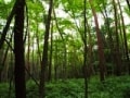 新・田舎暮らしアカデミー／森・山編
