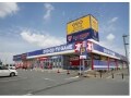DVDが半額で借り放題！ゲオの株主優待