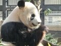 動物園での簡単デジカメワザ