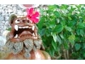 もっと沖縄旅が楽しくなる！ しまくとぅば入門