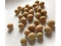 栄養成分を活かす!  日本人ならではの腸内細菌力