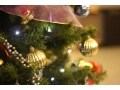 クリスマスのトリビアがつまった 『クリスマス事典』