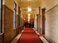 資格取得後の独立体験記 第17回「大学院への道」