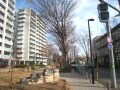 豊田、団地建直しで変化進行中、水と緑の街