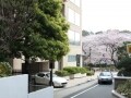 デベロッパーのDNAとマンションブランド Vol.5
