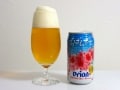 早春を祝うビール オリオンビール いちばん桜