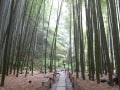 はじめての鎌倉観光 おすすめ名所10選