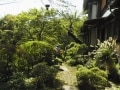 ランチ付き日帰り温泉プランで老舗旅館を堪能【箱根】