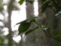 地域おこし協力隊・隊員募集！／教育編