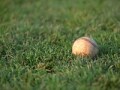 今度は世界一。巨額契約の田中がヤ軍でエースを目指す