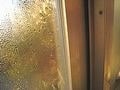 アレルギーに負けないお掃除術