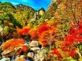 豪華な宿が多い甲府湯村温泉のおすすめ旅館