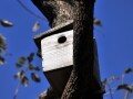 リフォームの現場から～そのリフォームは楽しい？
