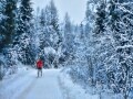 ノルウェーの季節・気候・旅の服装