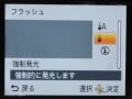 逆光でもきれいに撮影する方法！写真を撮る際のテクニックとは