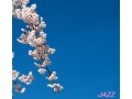 春のシーズンにピッタリなスプリング・ジャズVOL.2