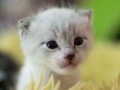 生後3週、わちゃわちゃです