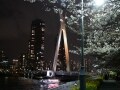 東京・中央区夜景　ライトアップ橋と水辺のカフェ散歩
