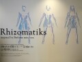 Rhizomatiks inspired by Perfume