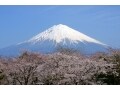 8月「山の日」の関連銘柄は？注目の7つ