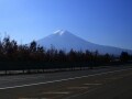 配当利回り4.5％！宿泊優待券ももらえる株主優待とは