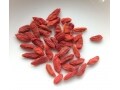 紫外線の多い時期に！ クコの実の栄養成分・注意点
