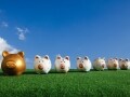 利回り10％超！7月権利確定の株主優待ランキング！