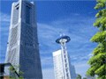 初心者はまず企業に注目！有望な企業の見つけ方