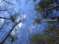 やってみたい！太陽・水・風のエコ発電