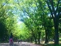 三井レジ、可動間仕切り収納「カナウプラン」を発表
