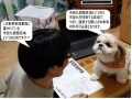 宅建業法の勉強方法とコツ！試験合格への道のり
