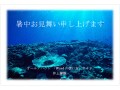 写真に文字を重ねて作るシンプルな暑中見舞い