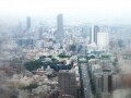 一戸建てから新築マンションへ買い替える際の注意点
