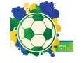 サッカー日本代表、早過ぎる敗退に学ぶマネジメント論