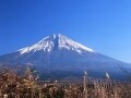 空前のニッポンブームに沸くニッポン!?