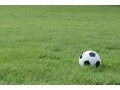 日本サッカー協会が後任監督選びの前にすべきこと