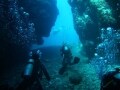 宮古島のダイビング情報