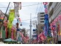8年ぶりにかっぱの商店街、「合羽橋本通り」を歩く