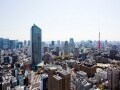 「トラのもん」が白い理由
